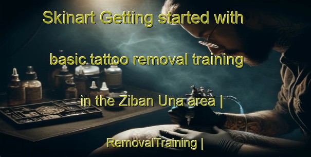 Skinart Getting started with basic tattoo removal training in the Ziban Una area | RemovalTraining | RemovalClasses | SkinartTraining-Eritrea